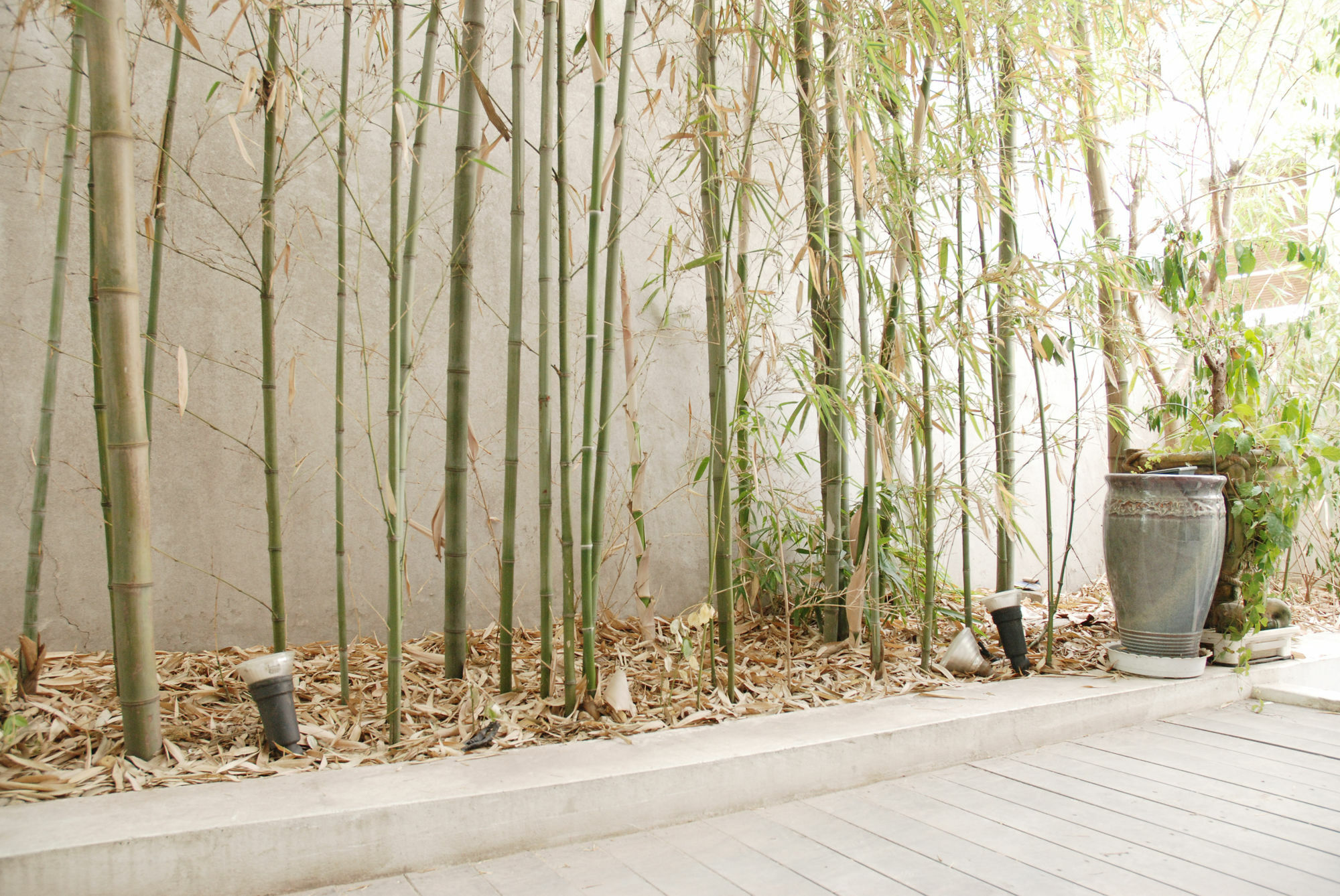 The Mei Haus Seoul Luaran gambar